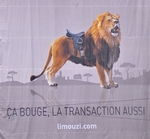 cliquez ici pour agrandir